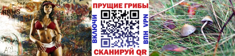 Псилоцибиновые грибы Magic Shrooms Вязьма